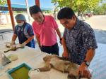 “โครงการแก้ไขปัญหาเหตุเดือดร้อนรำคาญจากลิงแบบบูรณาการและยั่ง
