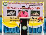โครงการสนับสนุนการปลูกพืชผักปลอดสารพิษ ประจำปีงบประมาณ พ.ศ.